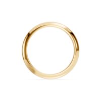 Dome Signet 3